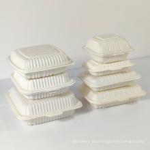 Microwave Takeaway Fast Food Cornstarch Biodegradable Food Container Disposable